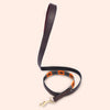 Horsher Paws Dog Leash Rainbow