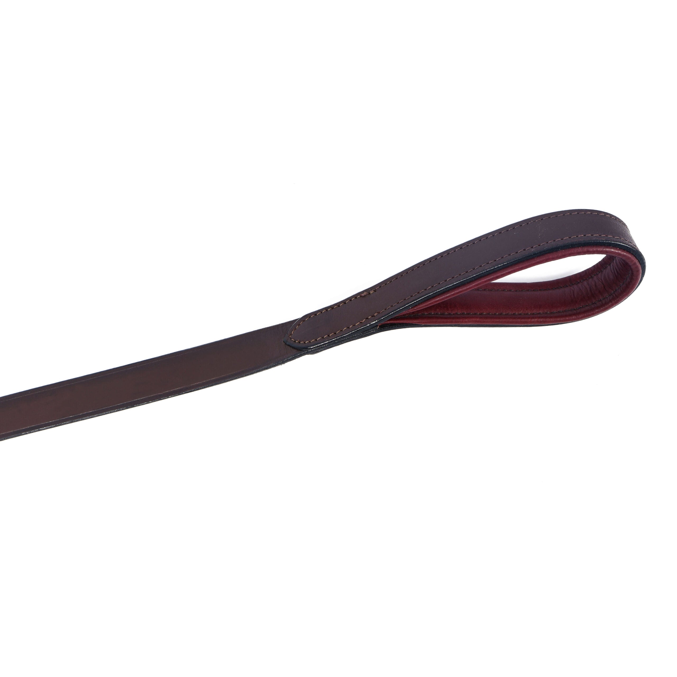 Horsher Paws Dog Leash Rainbow