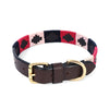 Horsher Paws Dog Collar Tangerine